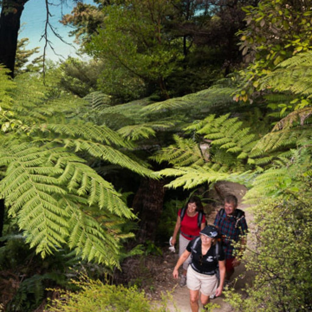 Abel Tasman Accommodation easy hiking options