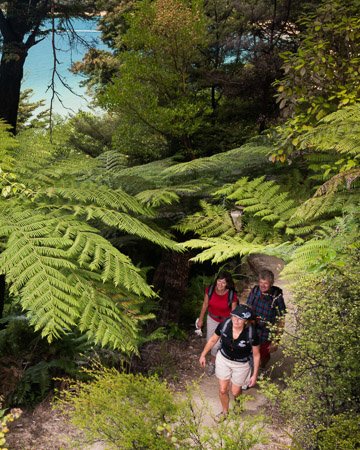 Abel Tasman Accommodation easy hiking options