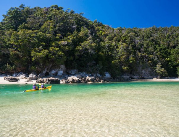 Kayaking is one of the Top Things to Do in the Abel Tasman
