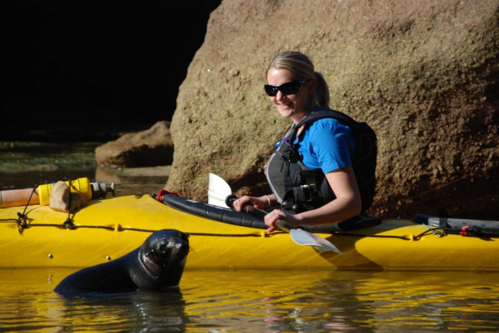 Kayaking with seal pups