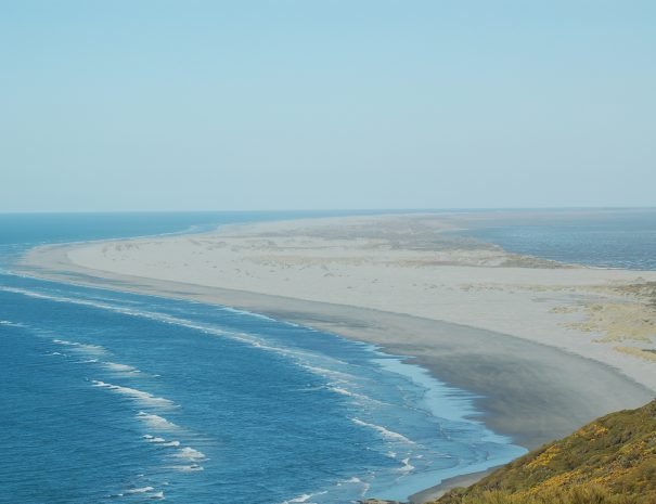Aerial view of Farewell Spit